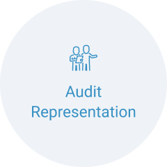 Audit-Representation